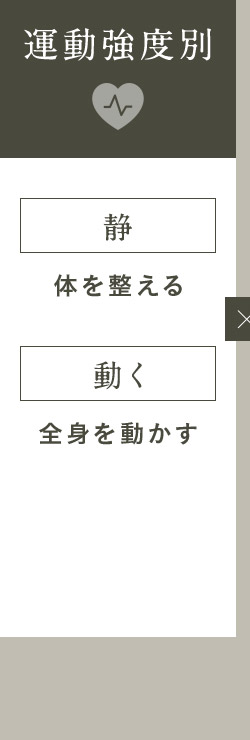 運動強度別 静 体を整える 動く 全身を動かす