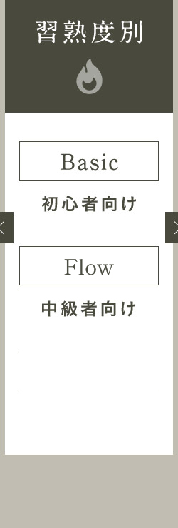 習熟度別 Basic 初心者向け Flow 中級者向け